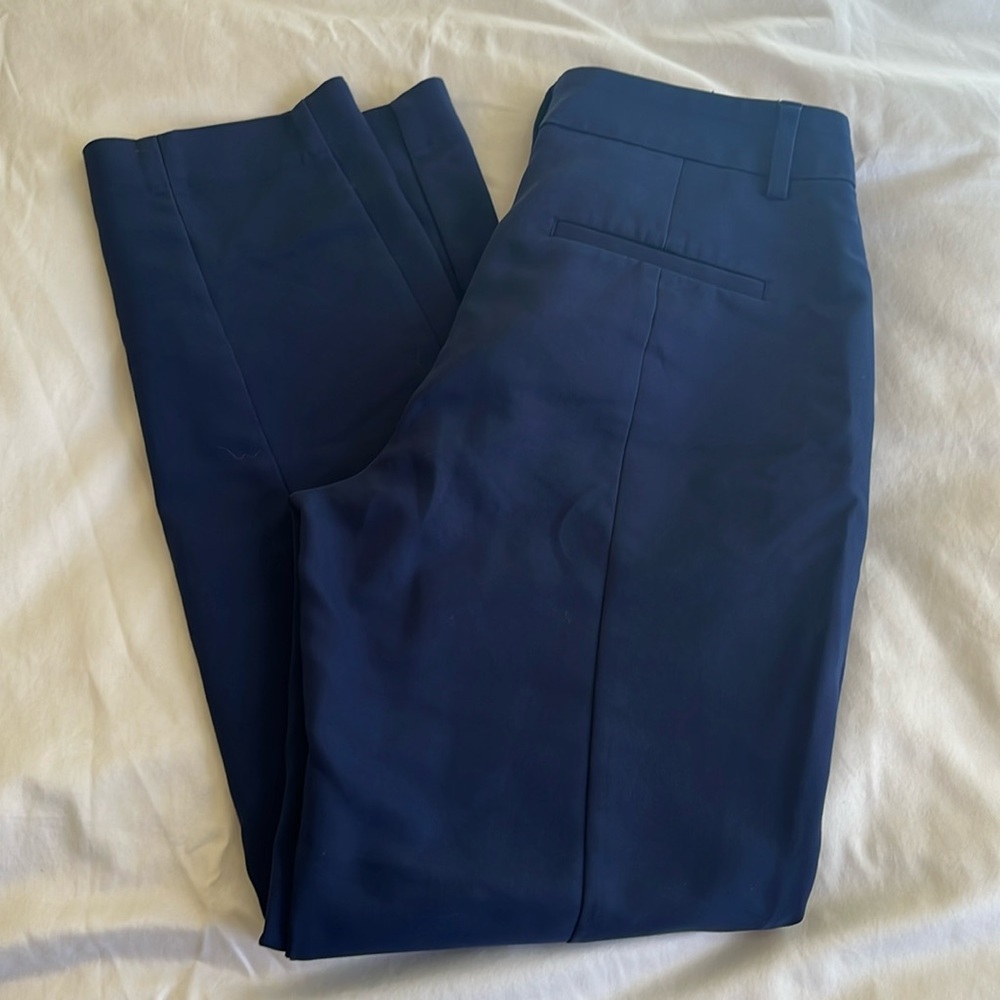 Express columnist ankle pants